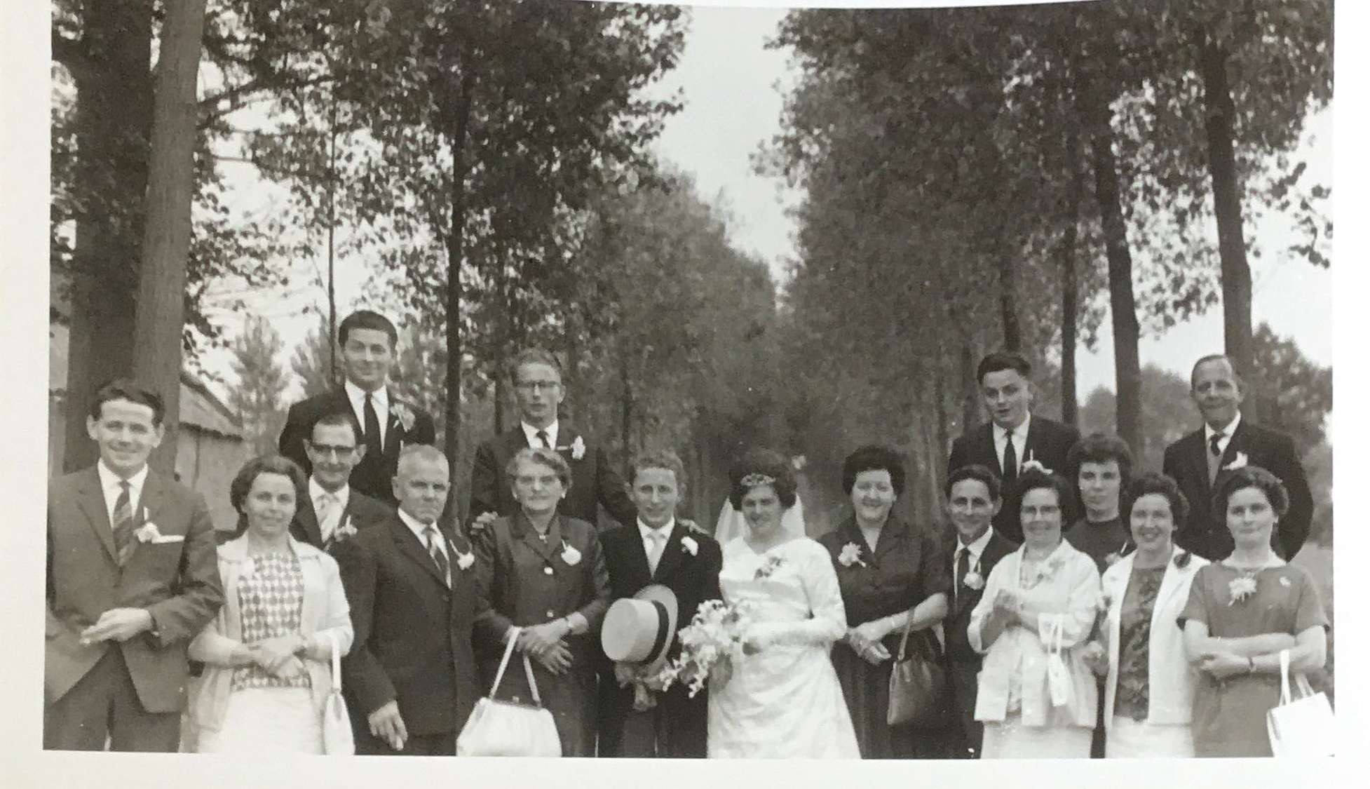 Aanleiding onderzoek stamboom