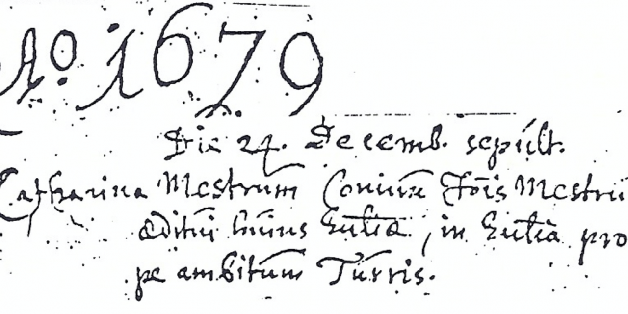 Hypothese over de oorsprong van de familie Mestrom Mestrum