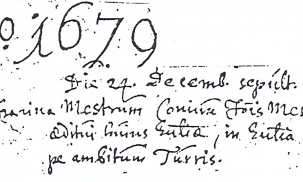 Hypothese over de oorsprong van de familie Mestrom Mestrum