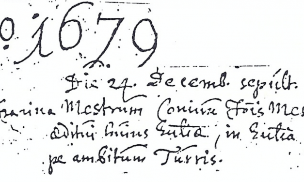 Hypothese over de oorsprong van de familie Mestrom Mestrum