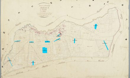 Percelen familie Mestrom in Maasbracht 1811-1832
