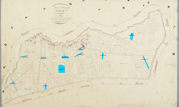 Percelen familie Mestrom in Maasbracht 1811-1832